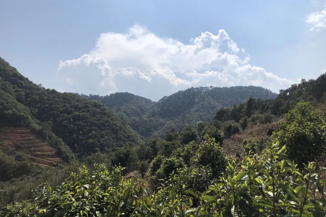 微信圖片_20230428103446.jpg 微信圖片_20230428103446.jpg